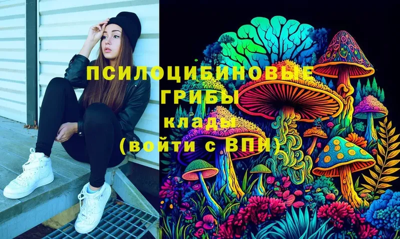 дарнет шоп  Пушкино  Галлюциногенные грибы Magic Shrooms 